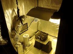 ma box 600 watts