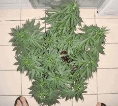 0108conchitadessus