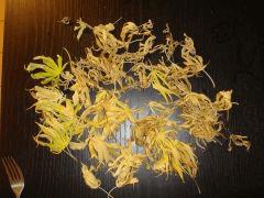 3008feuilles