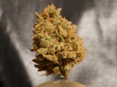 corecutmiellat (2)