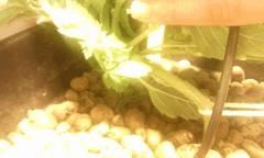 IMG 20140608 224719