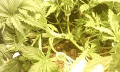 IMG 20140616 222329