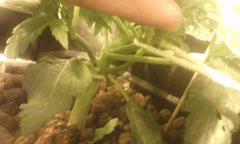 IMG 20140608 225227