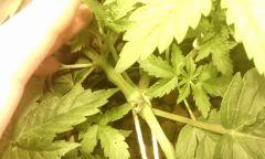 IMG 20140616 222355