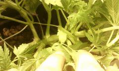 IMG 20140616 222657
