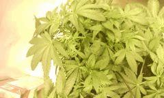 IMG 20140616 222735