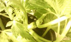 IMG 20140616 222710