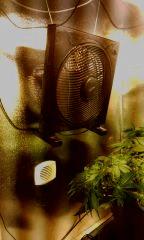 IMG 20140620 205015