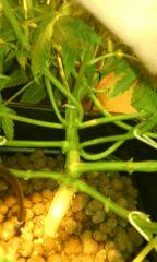 IMG 20140626 203505