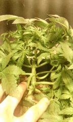 IMG 20140616 222817