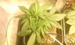 IMG 20140608 224203