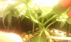IMG 20140608 224128
