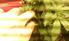 IMG 20140616 222555