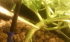 IMG 20140608 225252