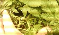 IMG 20140616 222456
