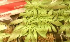 IMG 20140616 222543