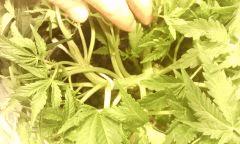 IMG 20140616 222628