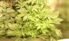 IMG 20140616 222642