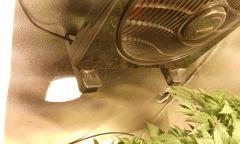 IMG 20140620 205136