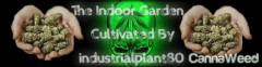 Ban industrial 2