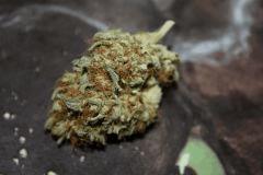 Bubba Kush (HSO)