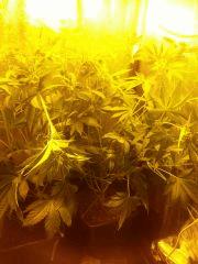 chambre 2pot