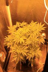 chem2 cro30 Pre 4  4