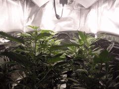 CIMG4595