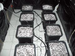 CIMG4548