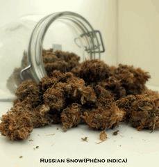 DSCF8312 001