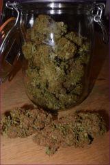 CBD1