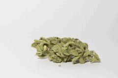 bud amnesia