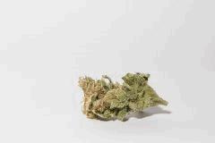 bud top44