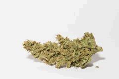bud amnesia