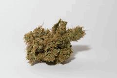 bud amnesia