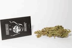 bud amnesia