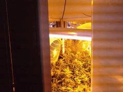 tube UV