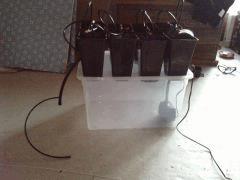 Mini système hydro 8*2l  pour faire le premier mois de cro