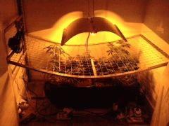 Lampe à hauteur de fonctionnement en dimmé 400w