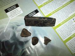 Hash