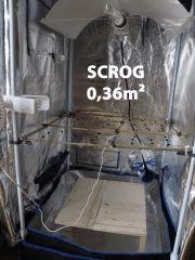88 Install SCROG