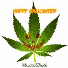112 Happy Halloweed