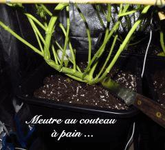177 CUT couteau