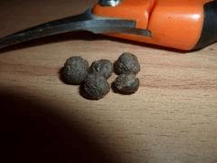 Finger Hash Moby Dick