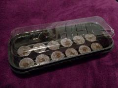 CAM00693
