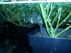 CAM00740