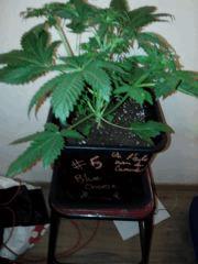 IMG 20141002 213305