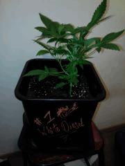 IMG 20141002 213128