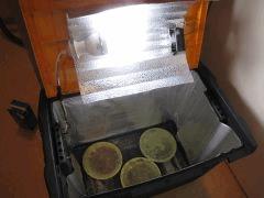 IMG 0732