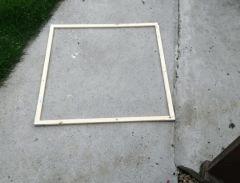IMG 2649
